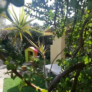 Sa Domu Antiga Solarussa